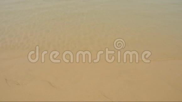 海滩上的柔软涟漪视频的预览图