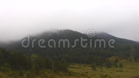 森林覆盖的高山上的晨雾视频的预览图