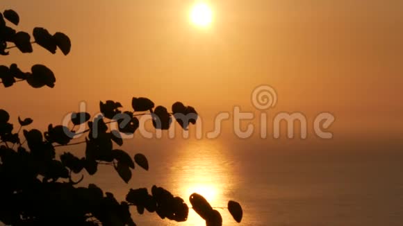 美丽的日落海浪中的橙色倒影和风中的树叶视频的预览图