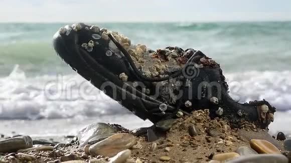 环保和污染的概念一只长满贝壳的旧鞋躺在海滨快关门视频的预览图