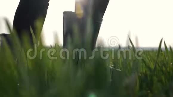 在夕阳的照耀下女农民穿着橡胶靴在绿色的田野上行走农业耕作视频的预览图