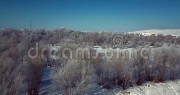 4一个的冬天寒冷的一天覆盖着雪霜的树木的空中拍摄视频的预览图