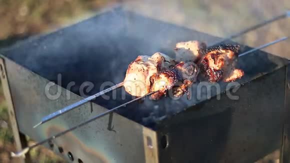 令人兴奋的烤肉什锦烤串篝火活烧烤串视频的预览图