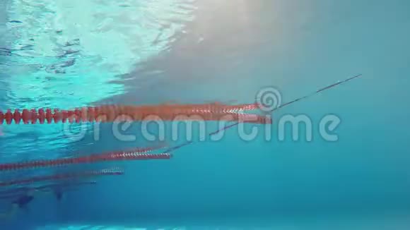 运动员自由泳然后做翻转动作视频的预览图