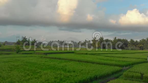 美丽的空中拍摄的稻田周围的乌布村与阿贡山泰在一个很远的地方空中景观视频的预览图