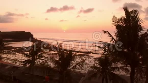 在温暖的日落或日出时用海洋和棕榈进行空中观景视频的预览图