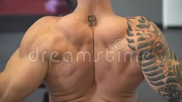 背部肌肉的工作视频的预览图