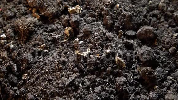 黑色泥土地面的深色纹理黑土表面俯视图农业背景视频的预览图