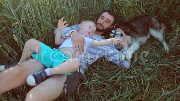 父子俩在麦田里玩狗父亲节家庭观念视频的预览图
