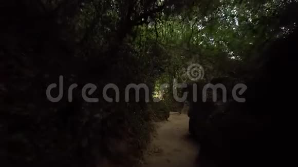 在黑暗的森林里用石头移动视频的预览图