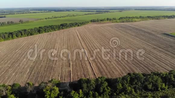 阳光明媚的一天收获后的大农田的空中景色视频的预览图