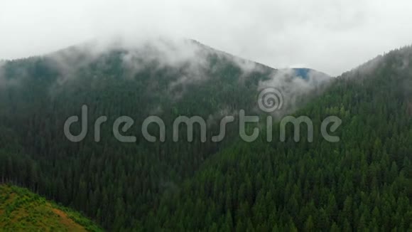 从山顶的云层中飞过高山清晨日出自然森林视频的预览图
