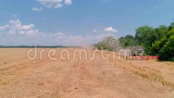 收割小麦期间在田间作业的联合收割机视频的预览图