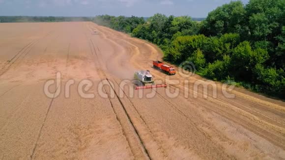 收割小麦期间在田间作业的联合收割机视频的预览图