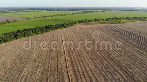 阳光明媚的一天收获后的大农田的空中景色视频的预览图