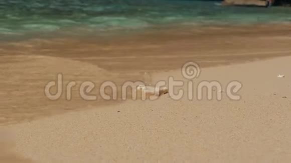 沙滩上的珊瑚碎片海浪冲刷海岸视频的预览图