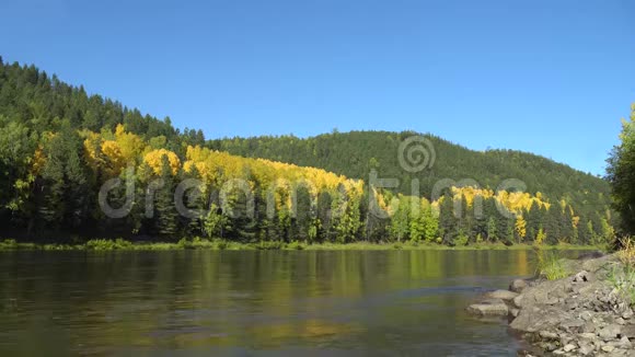 江岸秋日晴蓝天平静的河流和被森林覆盖的山脉视频的预览图