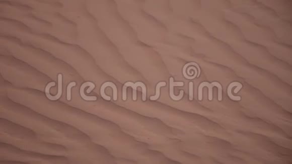 全景设计的涟漪纹理沙丘背景在美丽的阳光在阿拉伯联合酋长国视频的预览图