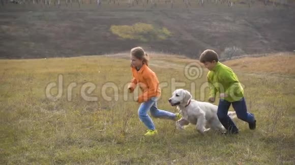 两个带着金毛猎犬跑在田里视频的预览图