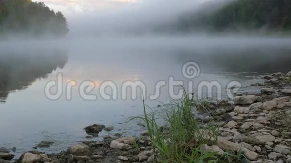 清晨的雾慢慢地从河流的上方穿过流向森林视频的预览图