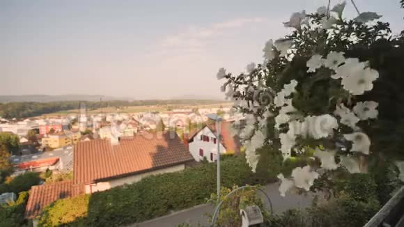 士附近瑞士农村背景上的花盆尼德罗多夫市瑞士视频的预览图