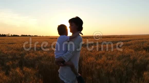 母亲把孩子抱在一片熟麦的背景下男孩拥抱并亲吻他妈妈视频的预览图