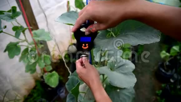 新鲜瓜用便携式地秤视频的预览图
