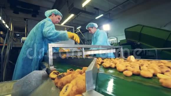 男性工人正在把土豆块切成两半视频的预览图