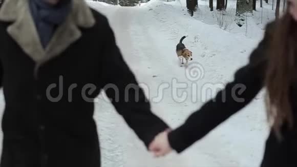 亲密恋爱中的夫妻手牵着狗在后台他们的小猎犬跑得很近视频的预览图