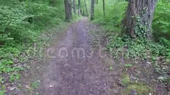 小男孩走路带着森林高清镜头视频的预览图