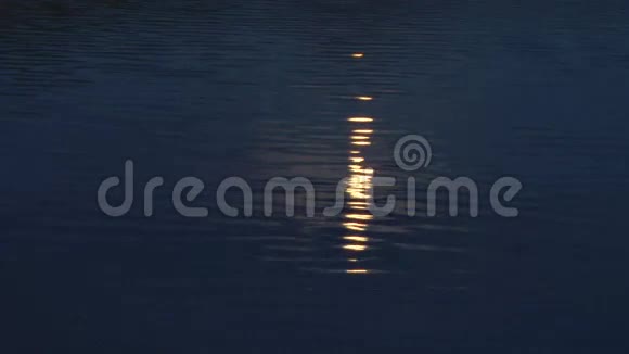 月光洒在水面上视频的预览图