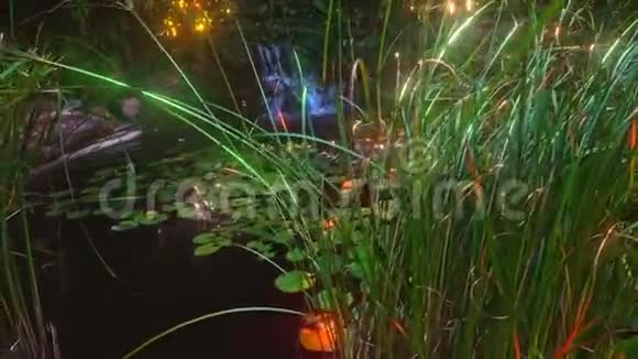 美丽的花园里的瀑布视频的预览图