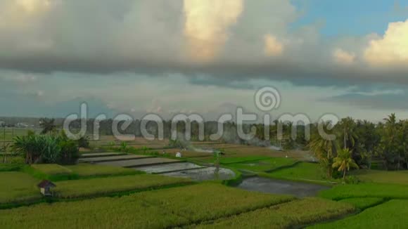 美丽的空中拍摄的稻田周围的乌布村与阿贡山泰在一个很远的地方空中景观视频的预览图