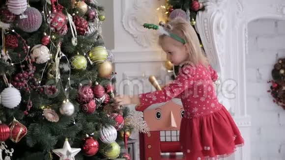 一个小女孩饶有兴趣地看着一棵大圣诞树视频的预览图