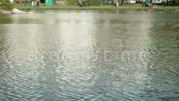 由于多风天气城市公园里的池塘里有一小波阳光照耀水面上的闪光视频的预览图