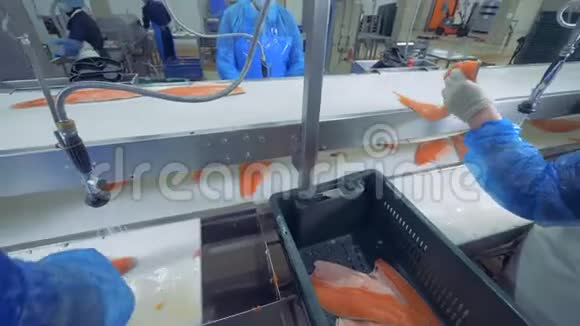 一些鲑鱼是由工厂员工加工的视频的预览图