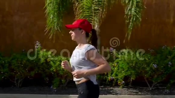 女人沿着街道在棕榈树之间奔跑健康的积极生活方式慢动作视频的预览图