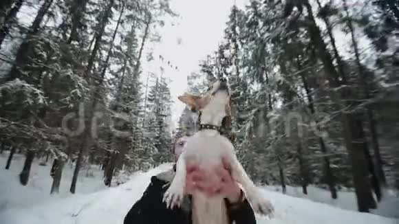 小猎犬和主人一起散步他为了好玩把宠物扔了人和狗在冬天的森林里玩得很开心视频的预览图
