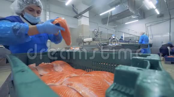 鱼片被工人重新放入容器中视频的预览图