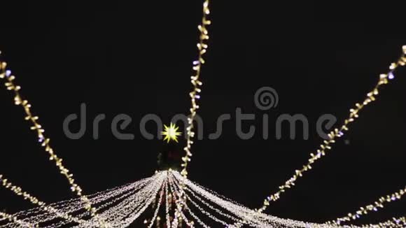 圣诞节的花环挂在树的不同方向视频的预览图