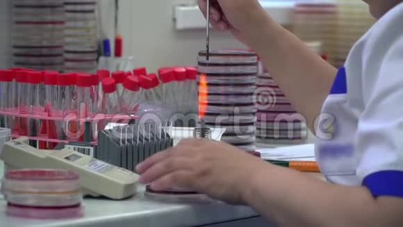 女性双手在实验室做分析用火关起来在实验室进行研究科学视频的预览图