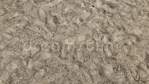 沙有脚印晴天视频的预览图