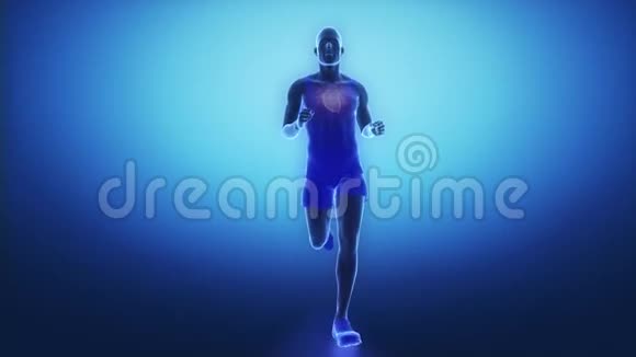 一个心跳加速的跑步者视频的预览图