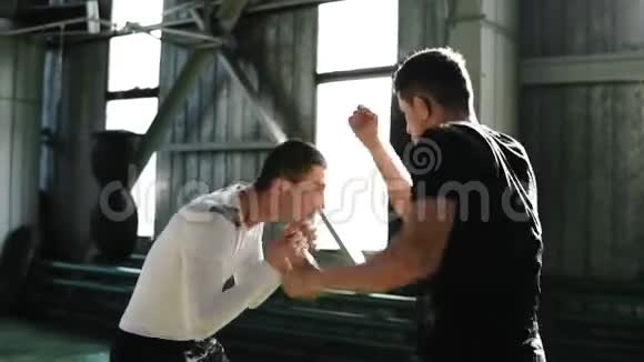 两名白种人拳击手正在训练一拳打在脸上一种技术一种立场保护和耐力害羞视频的预览图