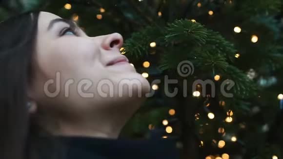 年轻美丽的女孩吸入圣诞树的气味节日的气氛特写视频的预览图