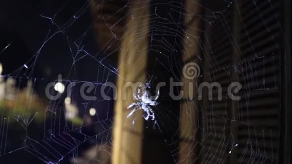 欧洲十字蜘蛛侠跑了视频的预览图