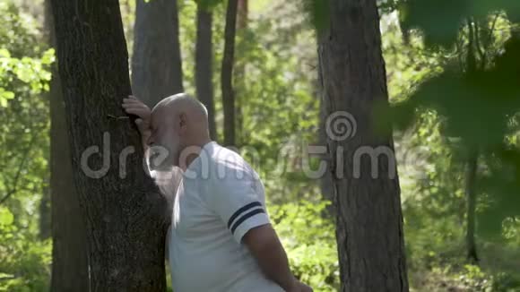 老人在夏林中放松和倚在树干上视频的预览图