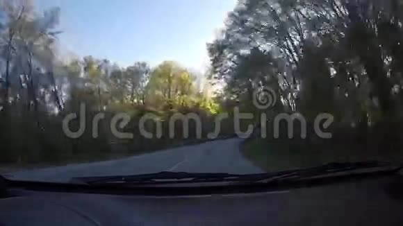 乘车穿越森林之旅视频的预览图