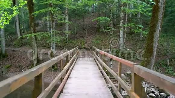 通过森林中的木桥的个人视野通道视频的预览图
