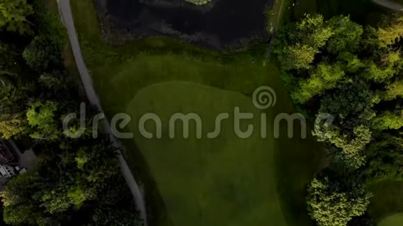 高尔夫球场球道的一个头顶镜头在常绿树与高尔夫球手之间拍摄视频的预览图